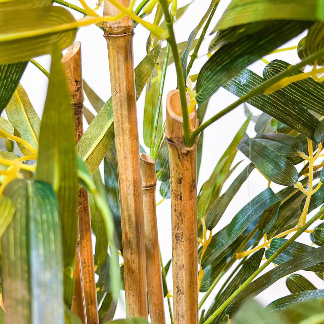 Planta Artificial Árvore Bambu Mossô Real Decoração 1,6m