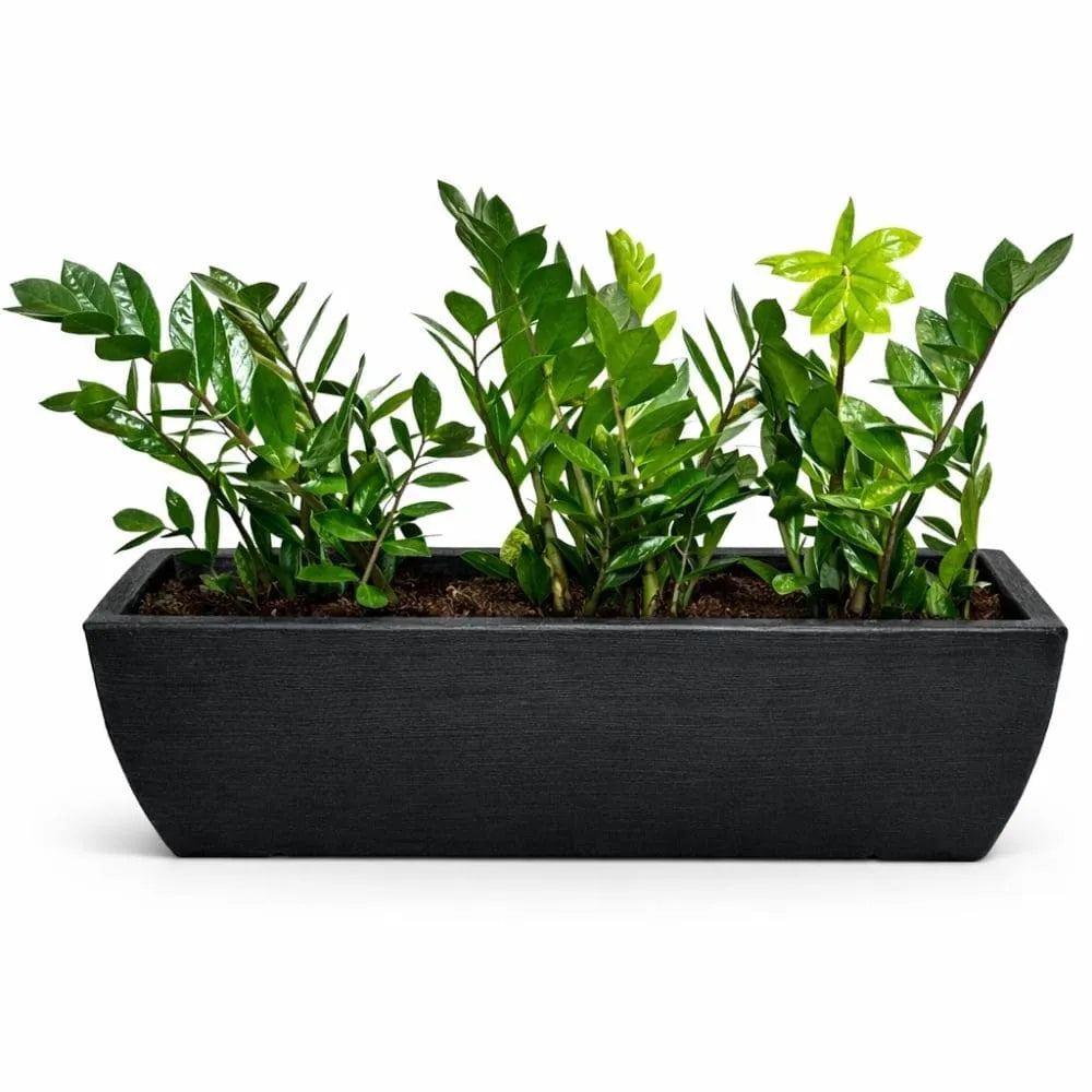 Jardineira Viena Média em Polietileno