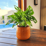 Vaso Cachepot de Porcelana - Importado da Holanda