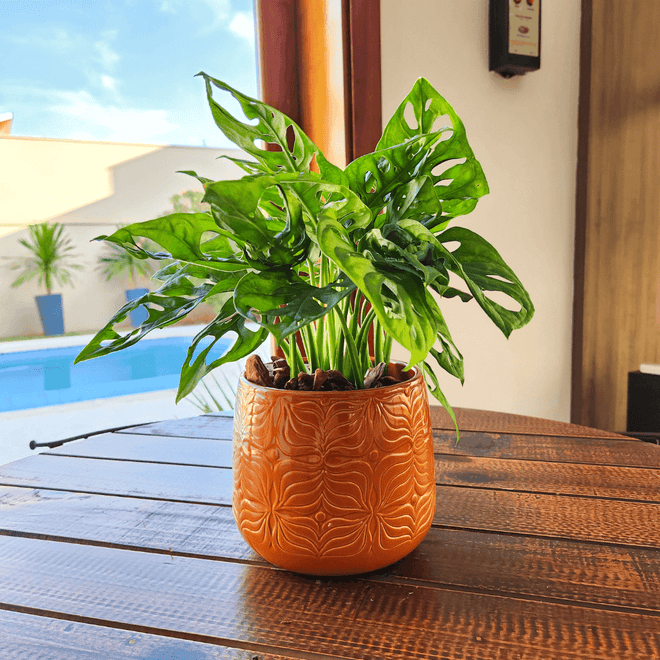 Vaso Cachepot de Porcelana - Importado da Holanda
