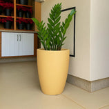 Kit 3 Vasos Polietileno Cone + Bacia