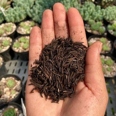 Casca de Arroz Carbonizada (CAC) 3L