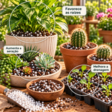 Perlita Expandida para Plantas e Substratos 3L