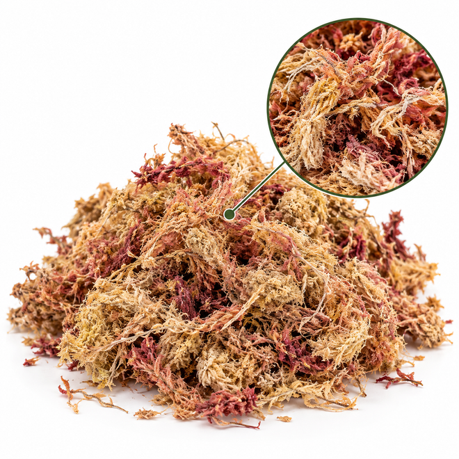 Musgo Esfagno Rosado Seco para Orquídeas e Plantas Carnívoras 3L
