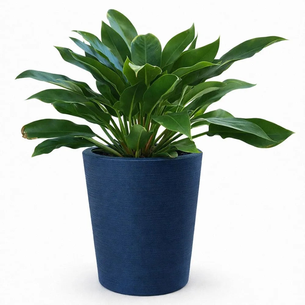 Vaso Texturizado Damasco em Polietileno