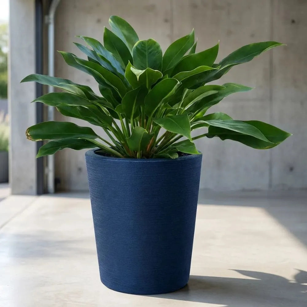 Vaso Texturizado Damasco em Polietileno