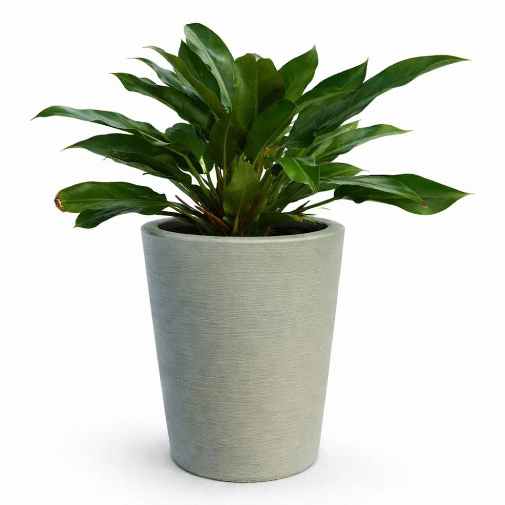 Vaso Texturizado Damasco em Polietileno