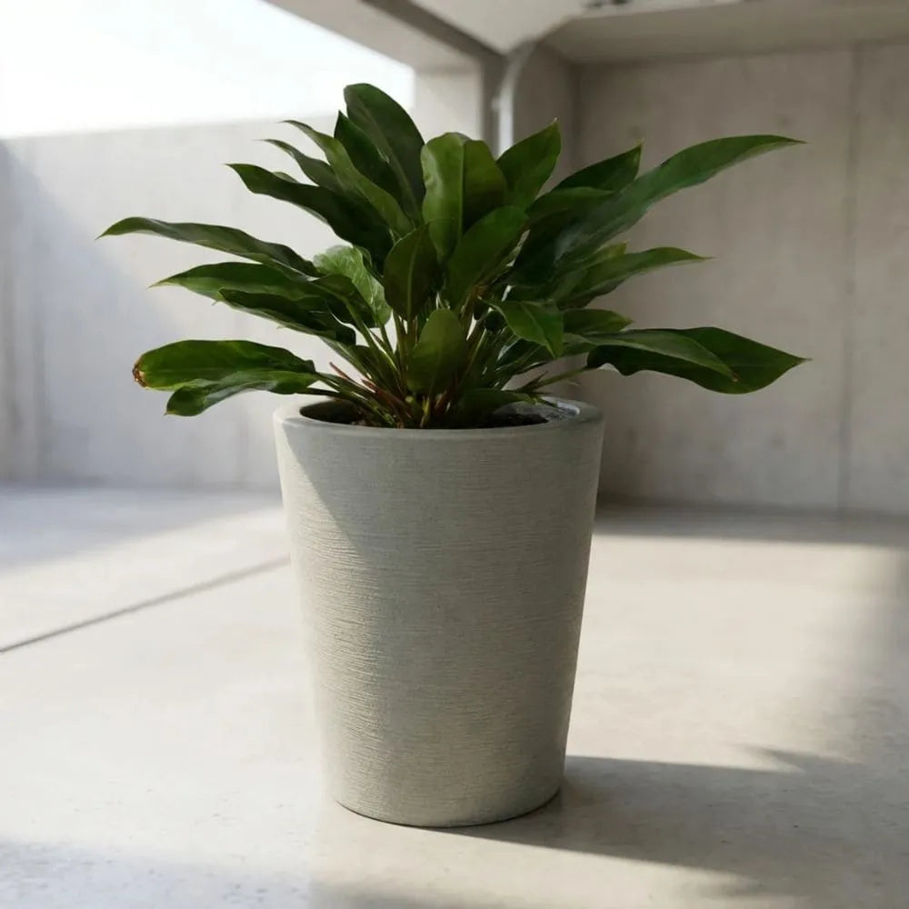 Vaso Texturizado Damasco em Polietileno