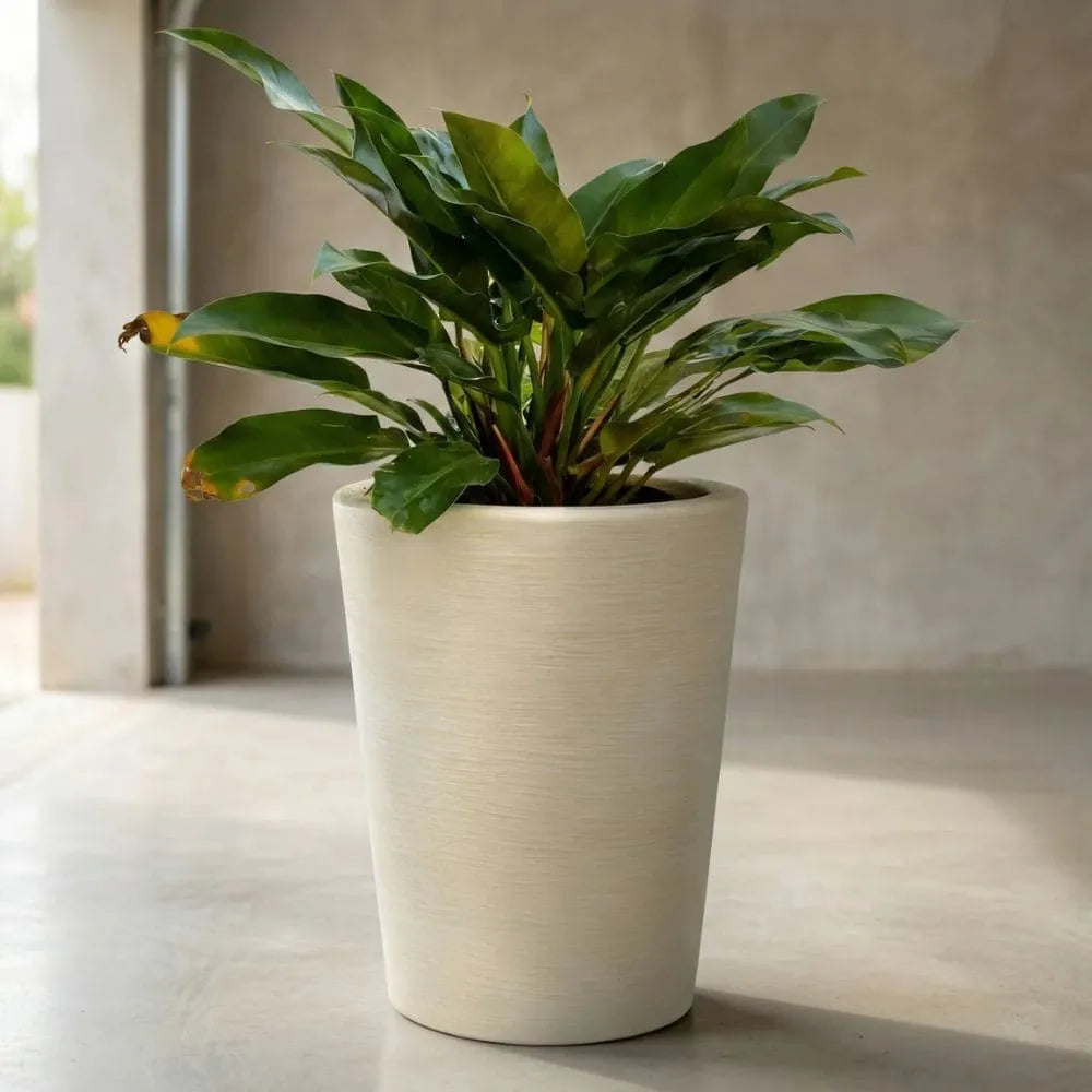 Vaso Texturizado Damasco em Polietileno