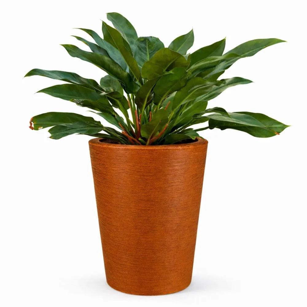 Vaso Texturizado Damasco em Polietileno