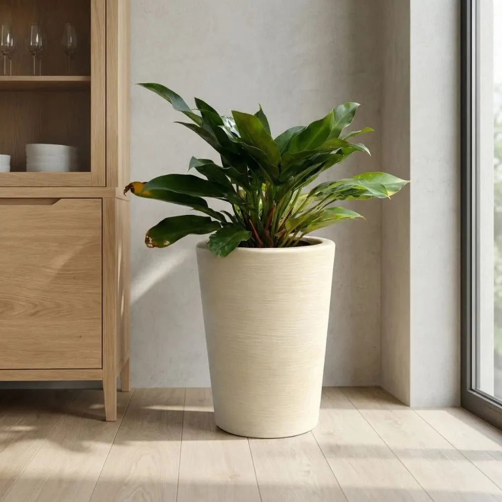 Vaso Texturizado Damasco em Polietileno