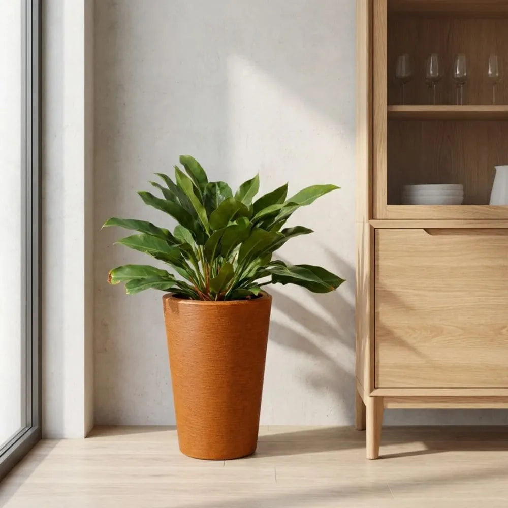 Vaso Texturizado Damasco em Polietileno