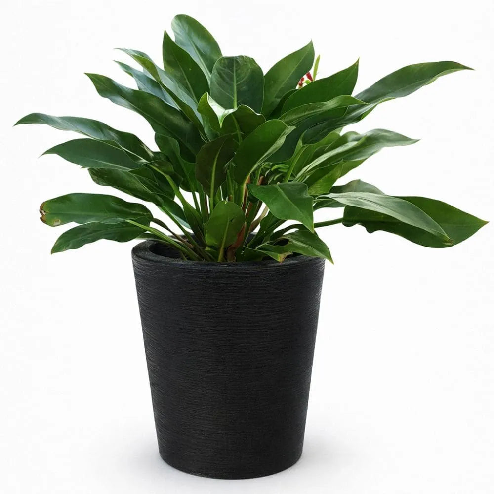 Vaso Texturizado Damasco em Polietileno