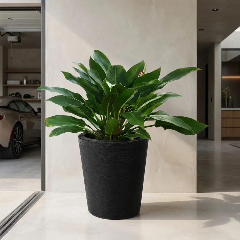 Vaso Texturizado Damasco em Polietileno