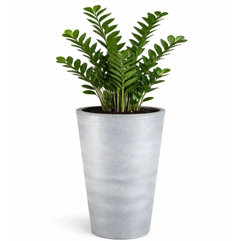 Vaso Texturizado Damasco em Polietileno