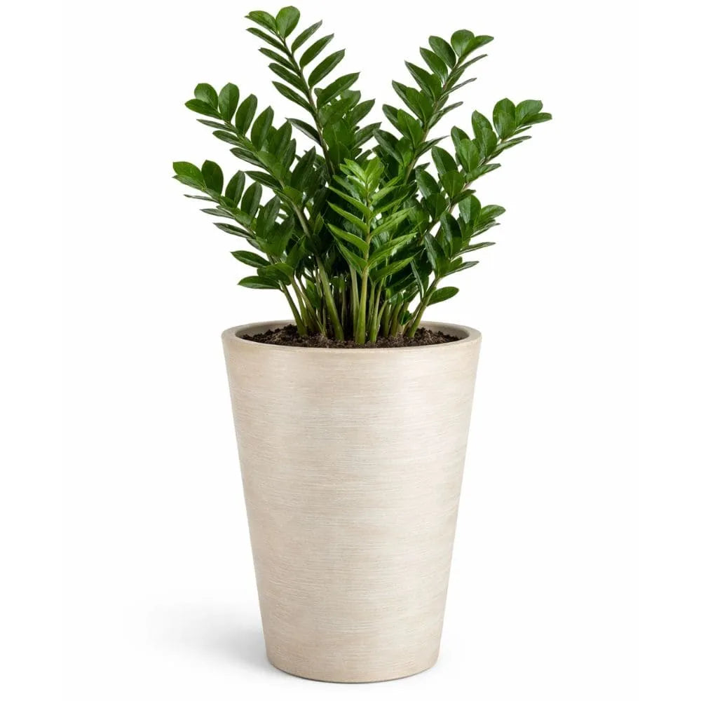 Vaso Texturizado Damasco em Polietileno