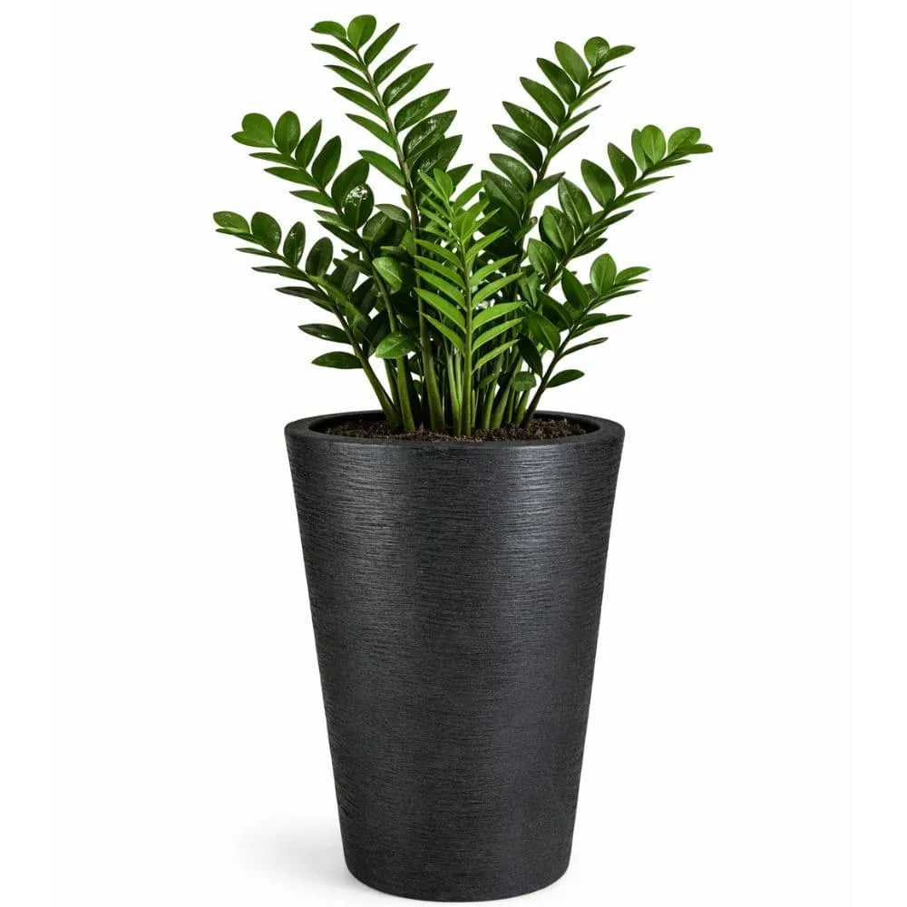 Vaso Texturizado Damasco em Polietileno