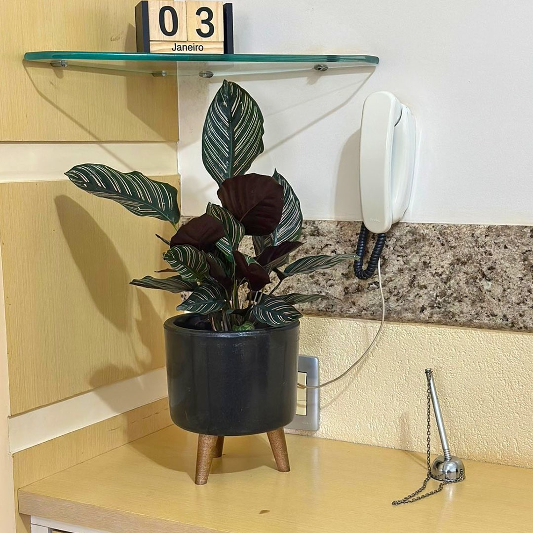 Mini Vaso Linha Doha 22cm com Tripé