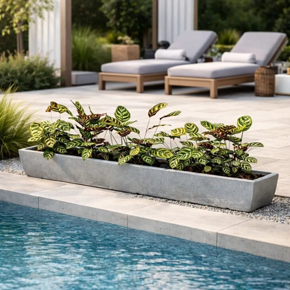 Jardineira Viena Fina em Polietileno