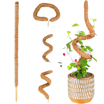 Tutor Estaca em Fibra de Coco para Plantas