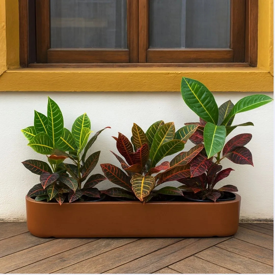 Jardineira Doha em Polietileno 80x17cm
