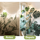 Tutor Estaca em Fibra de Coco para Plantas