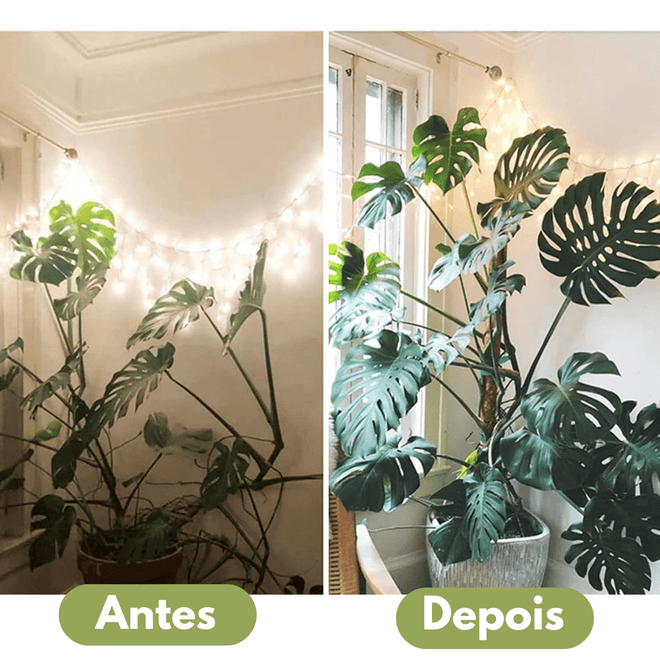 Tutor Estaca em Fibra de Coco para Plantas