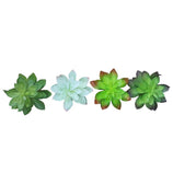 Suculentas Artificiais Decorativas