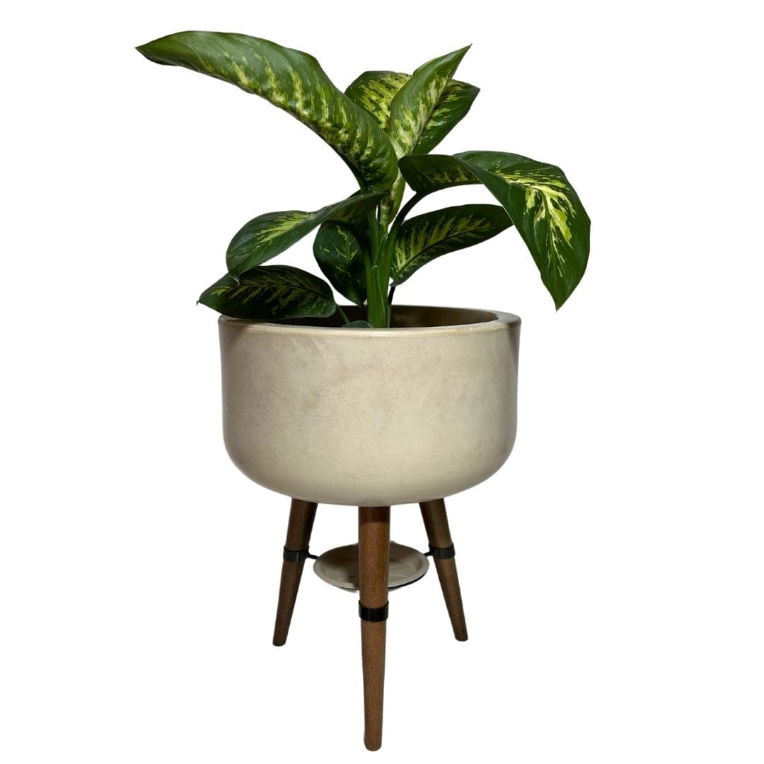 Vaso Bacia Linha Doha com Tripé de Madeira