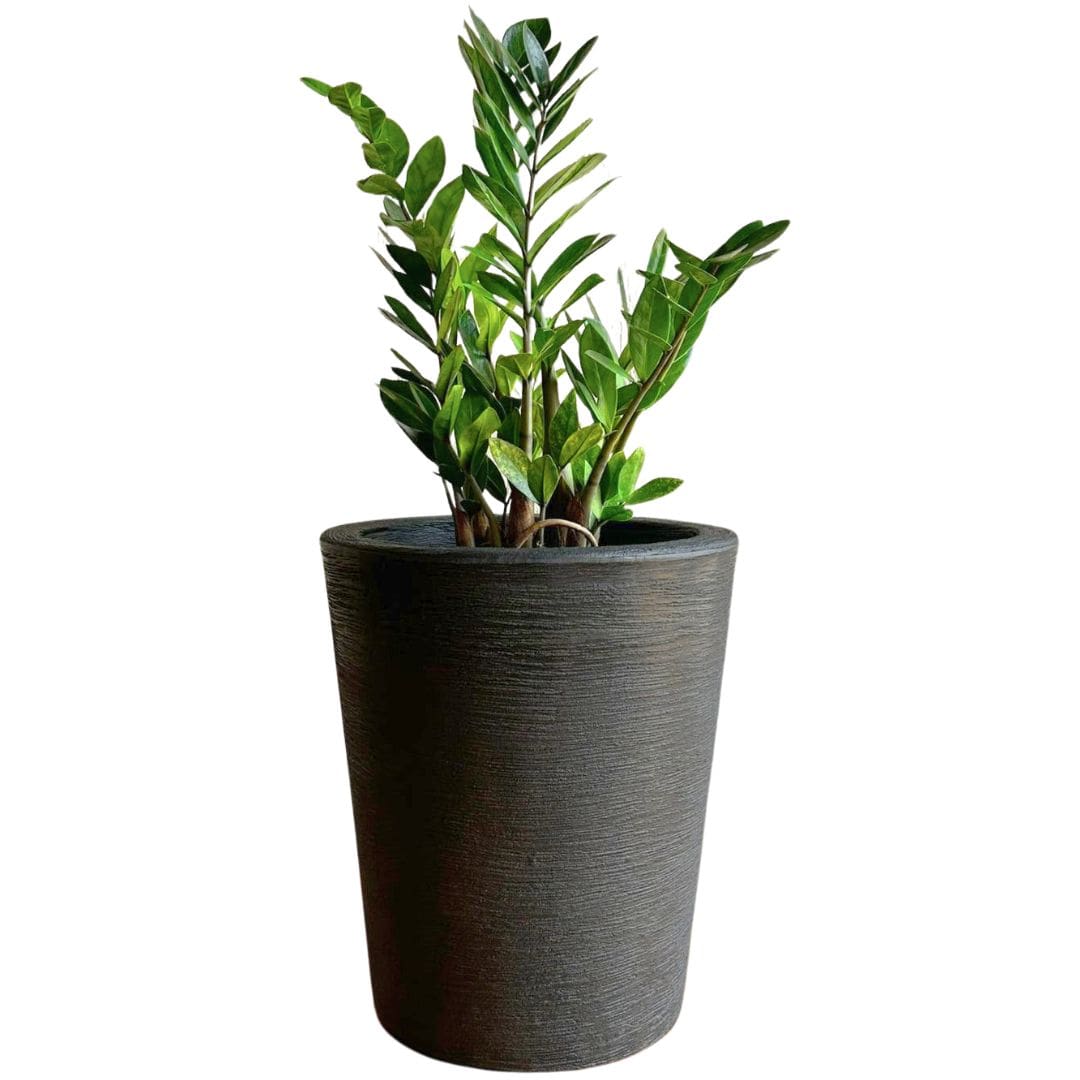 Kit 3 Vasos Decorativos em Polietileno