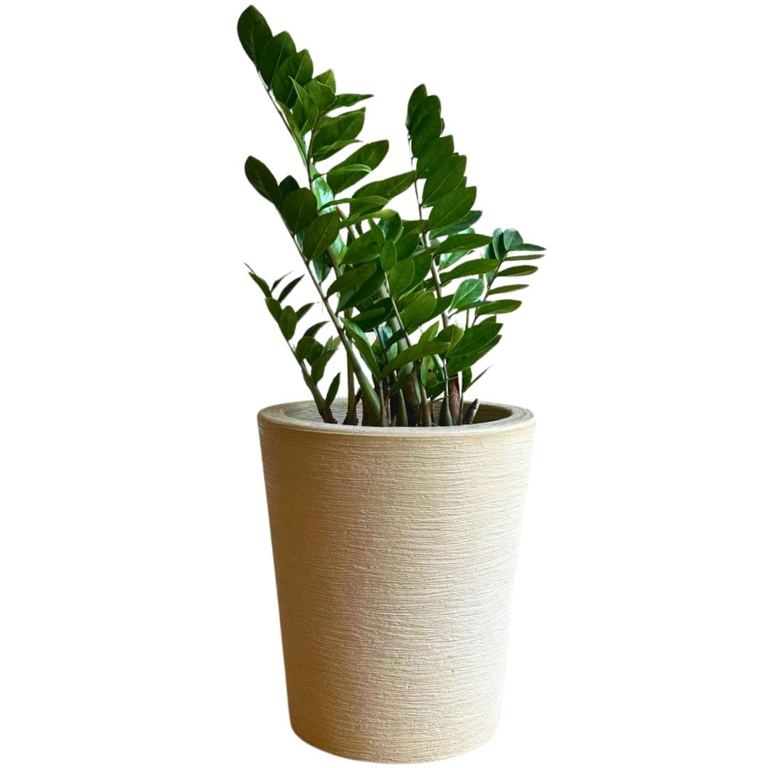 Kit 3 Vasos Decorativos em Polietileno