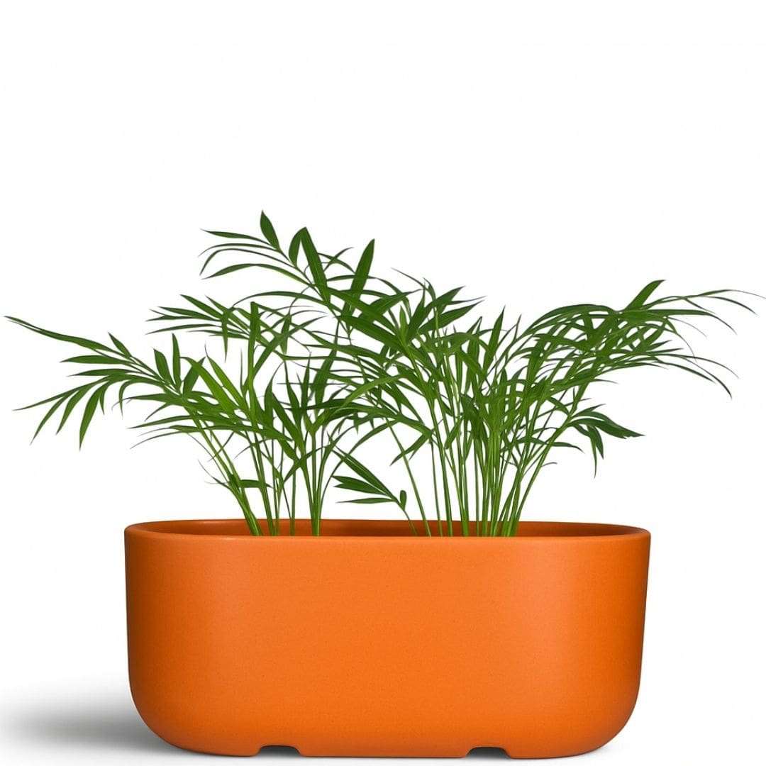 Jardineira Doha em Polietileno 30x17cm