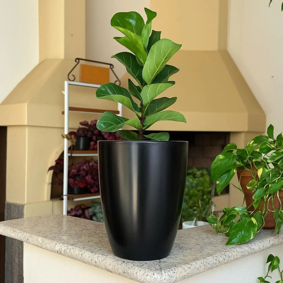 Kit 3 Vasos Polietileno Cone + Bacia