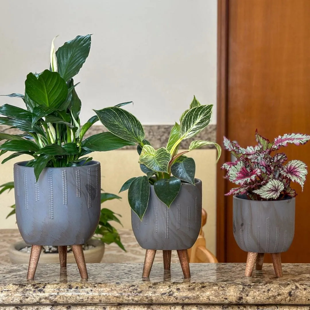 Vaso Cachepot Linha Genebra com Tripé de Madeira