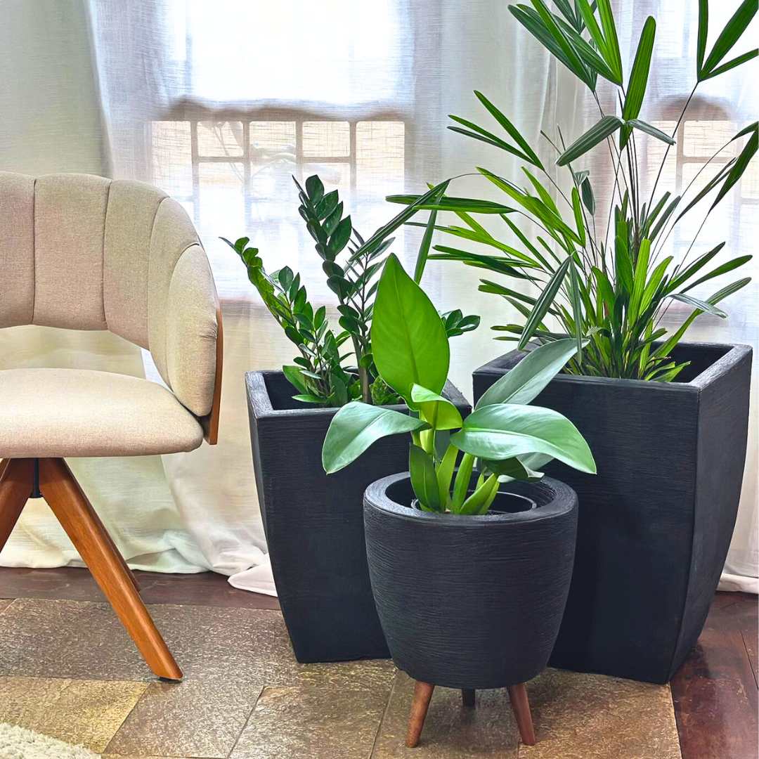 Kit 3 Vasos Berlim + Viena Texturizados Médios