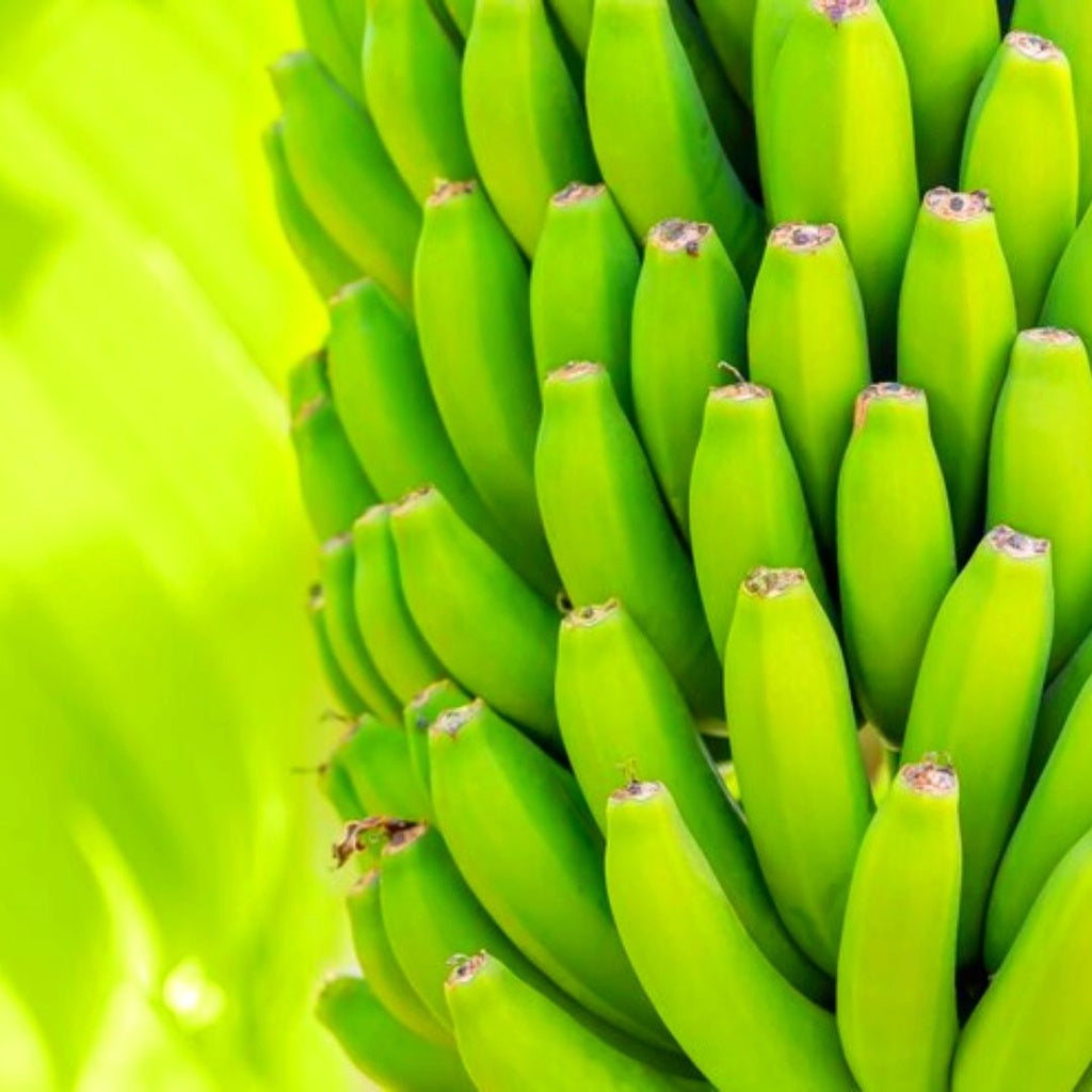 Forth Adubo para Frutas 400g