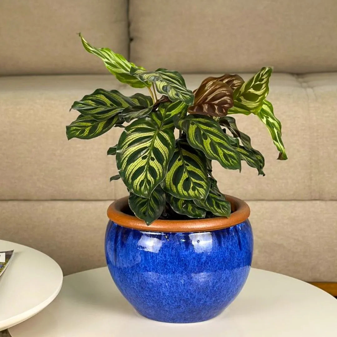 Vaso Cachepot em Cerâmica Esmaltada 18,5cm