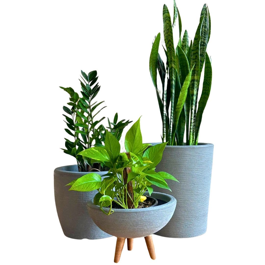 Kit 3 Vasos Decorativos em Polietileno