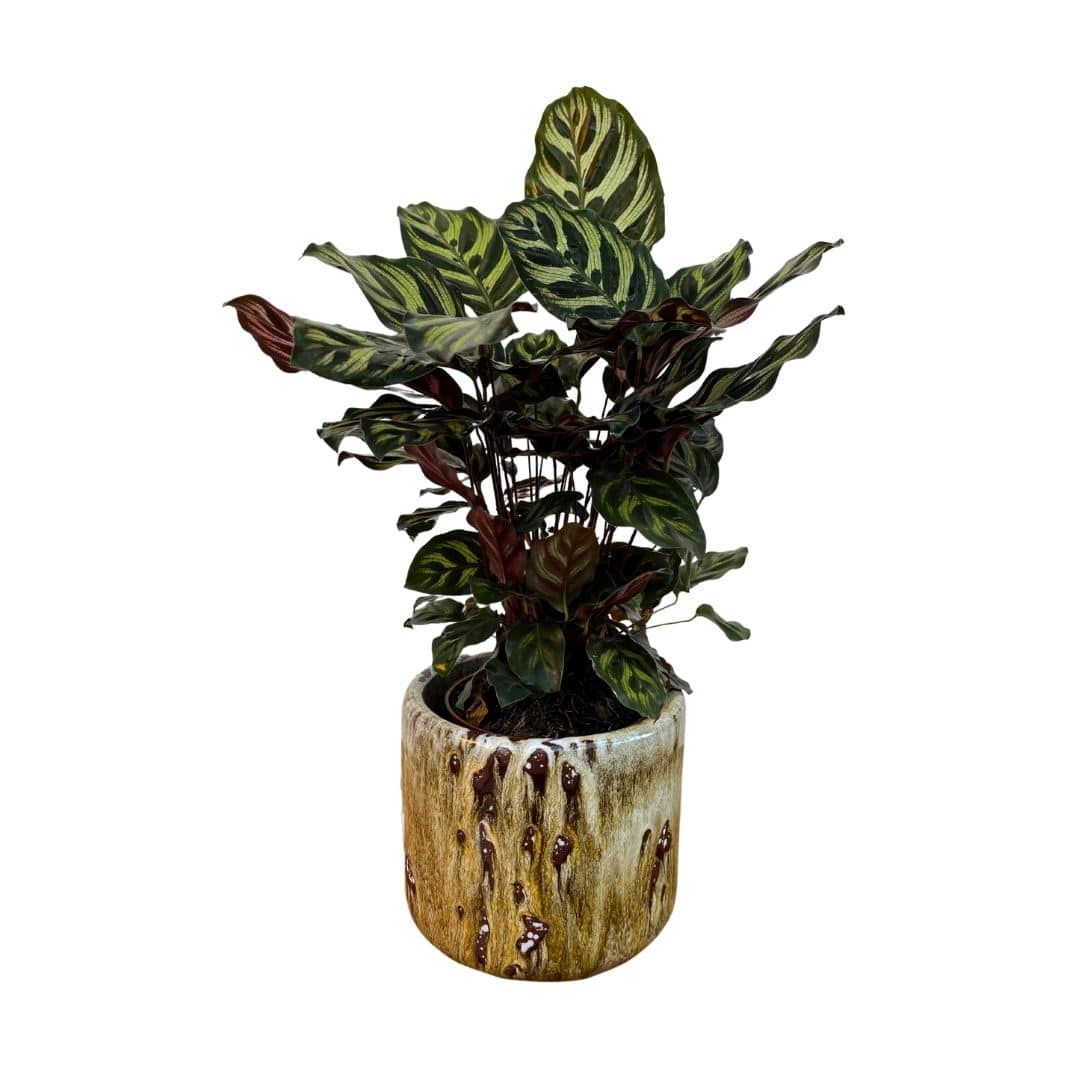 Vaso Cachepot de Cerâmica Texturizada