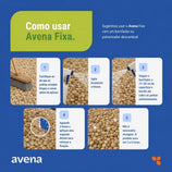 Fixador de Pedras Soltas Avena 1L