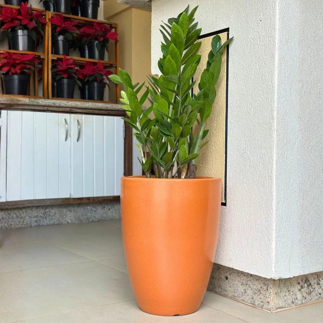 Kit 3 Vasos Polietileno Cone + Bacia