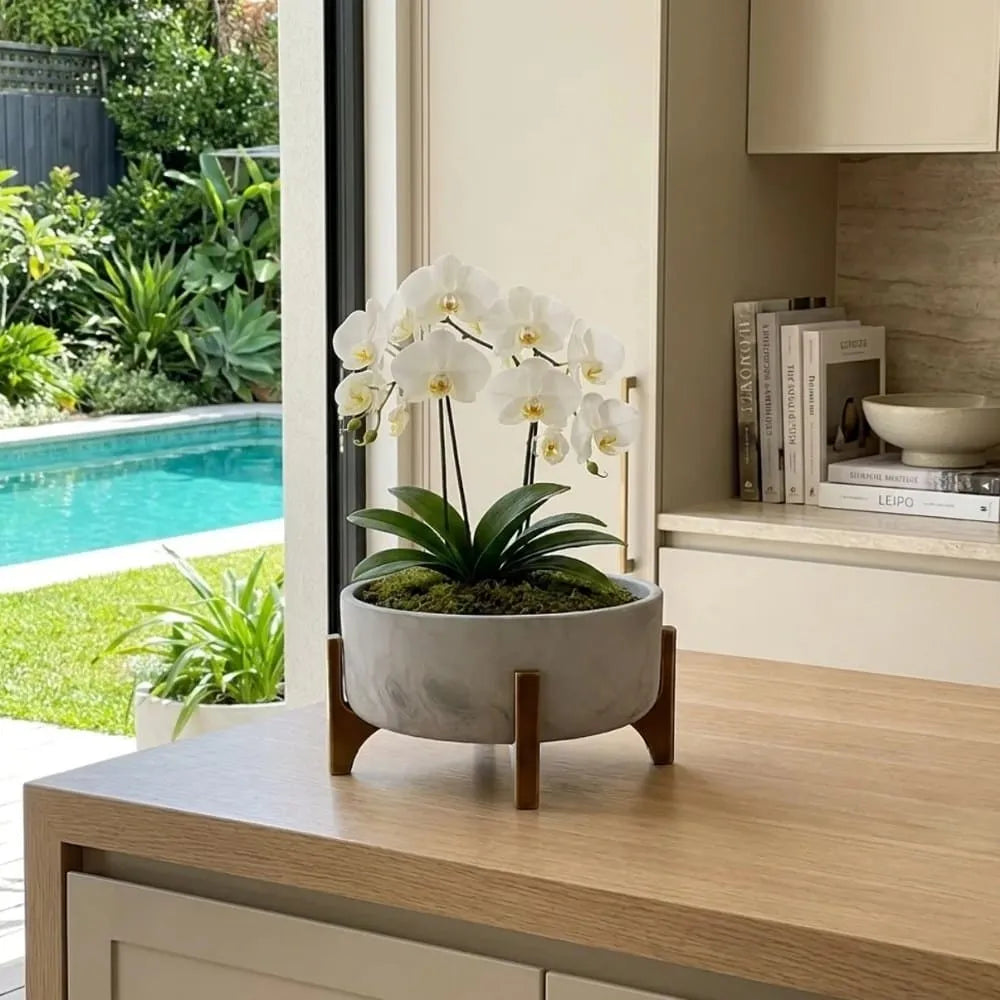 Vaso Bacia Linha Genebra com Suporte de Madeira