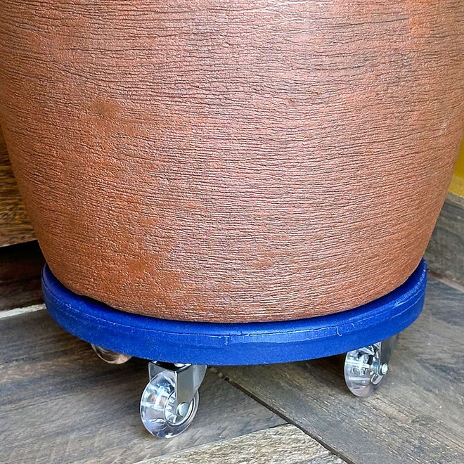 Suporte com Rodas de Silicone para Vasos Redondos