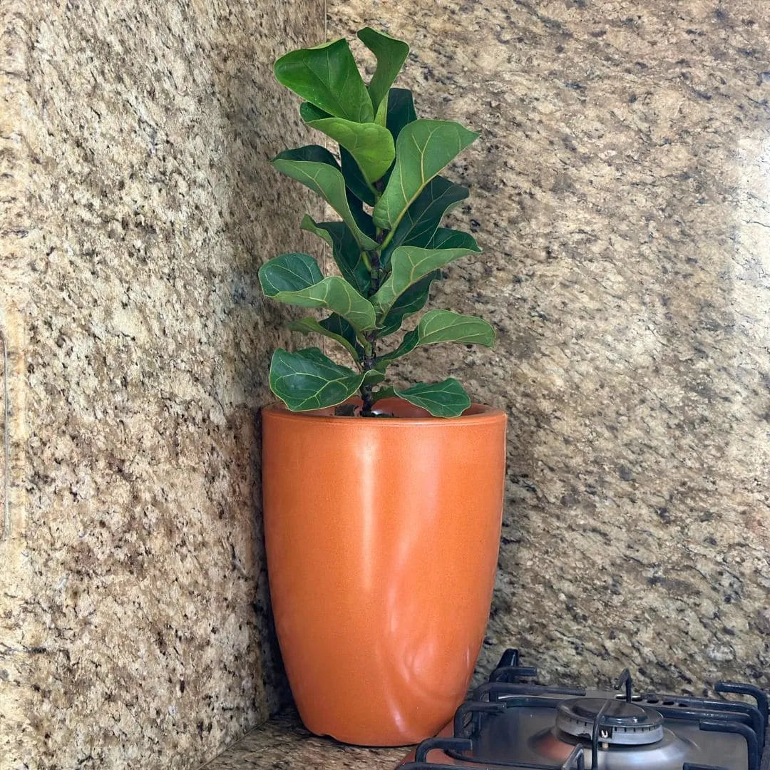 Vaso Pequim em Polietileno 30x24cm