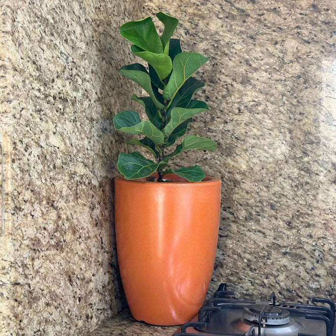 Vaso Pequim em Polietileno 30x24cm