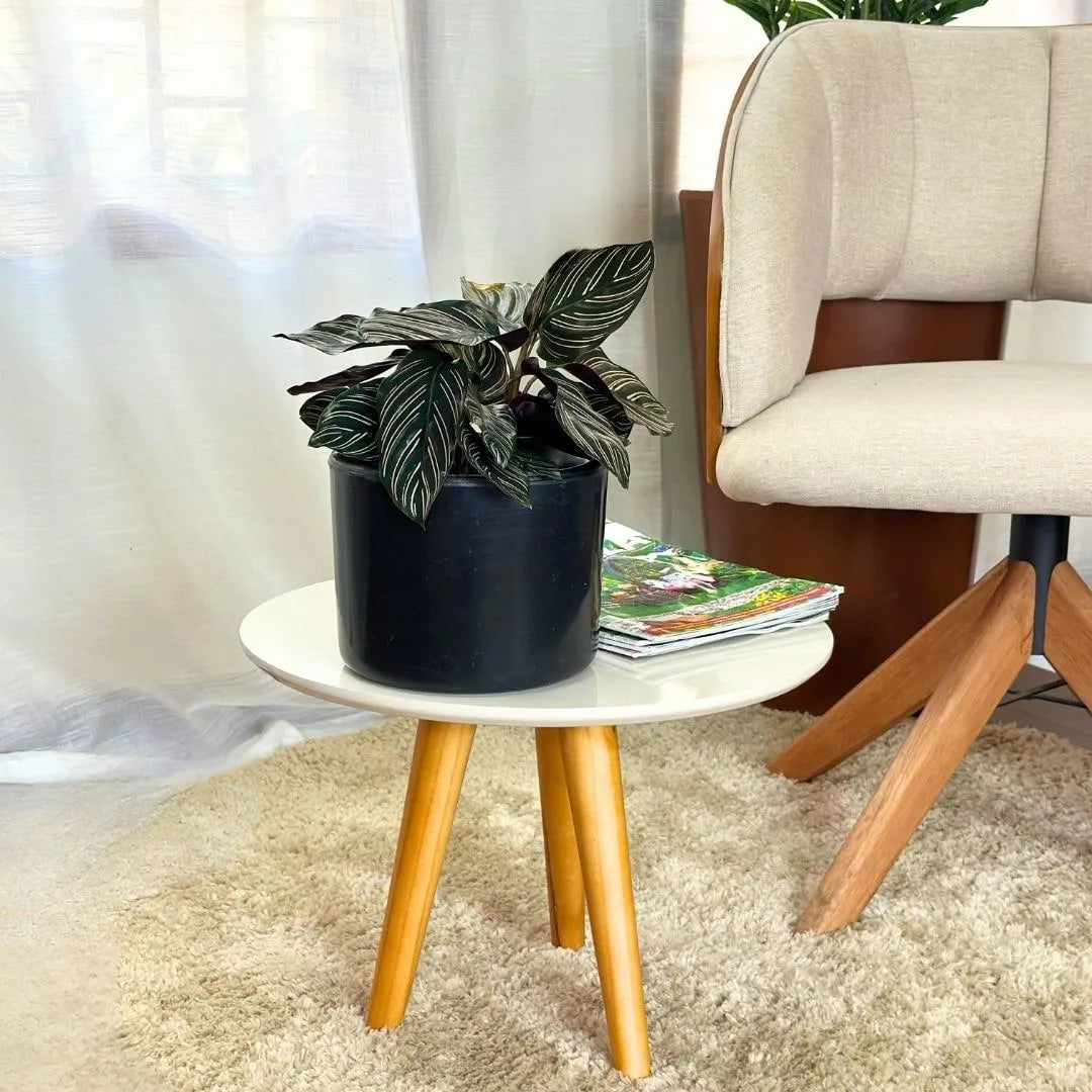 Vaso Decorativo Redondo Mini Doha 14x19cm