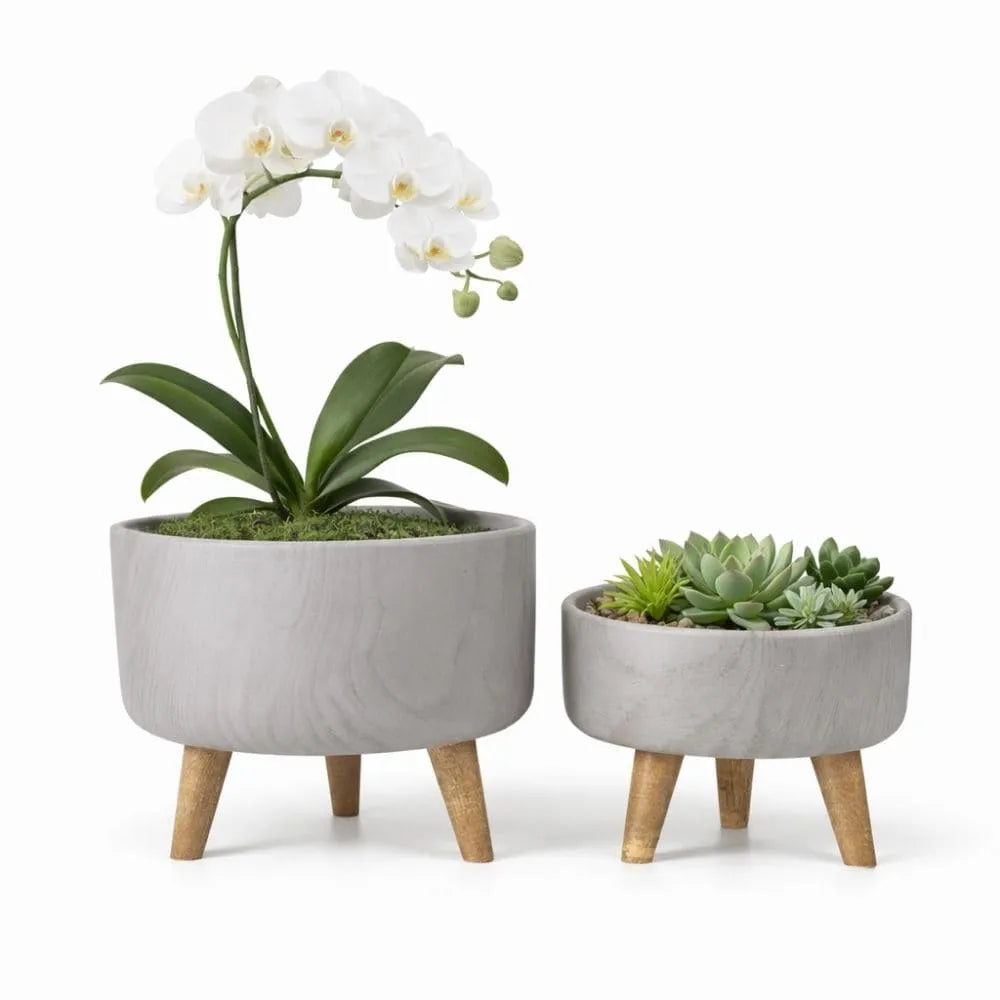 Kit 2 Vasos Bacia Linha Genebra com Tripé de Madeira