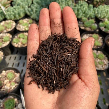 Casca de Arroz Carbonizada (CAC) 100L