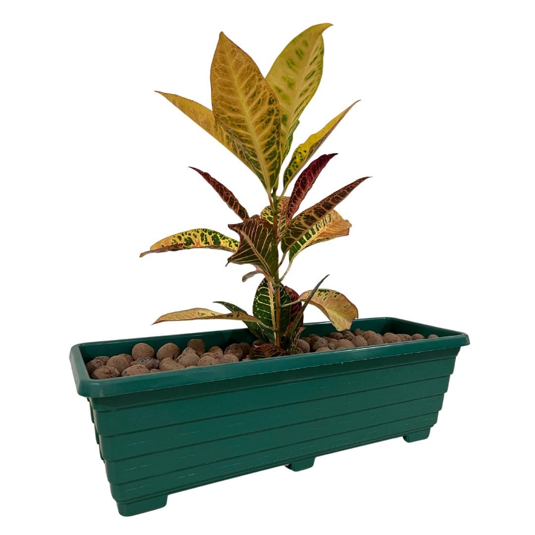 Jardineira Floreira de Plástico 50cm