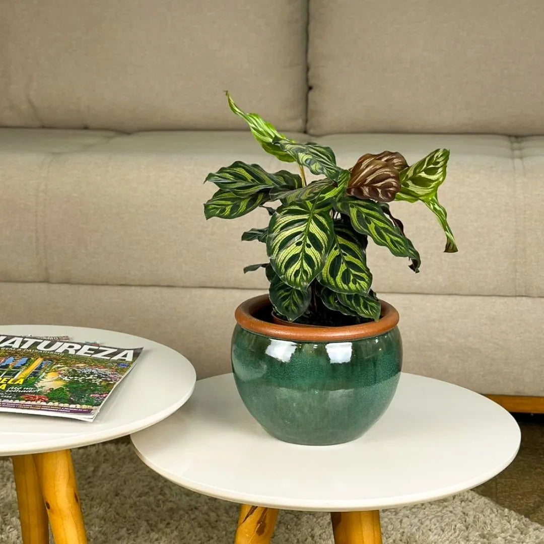 Vaso Cachepot em Cerâmica Esmaltada 18,5cm